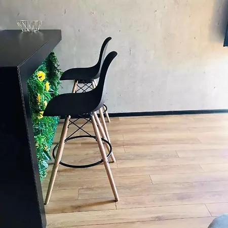 Regina's Modern Studio Apartment *