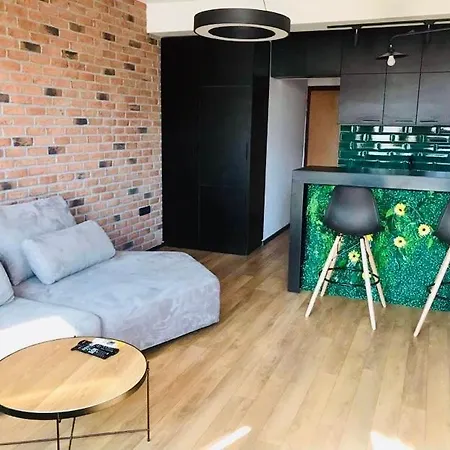 Apartment Regina's Modern Studio *